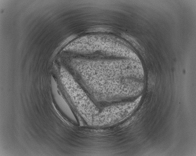 X0000081471233200702021824