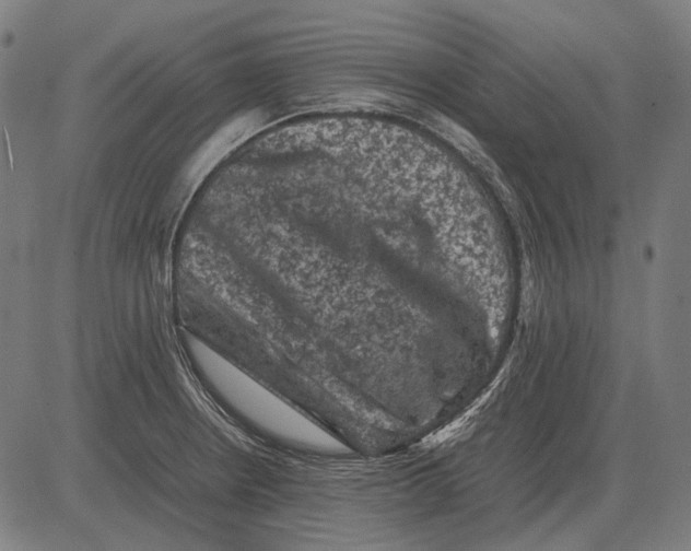 X0000081471234200702021824