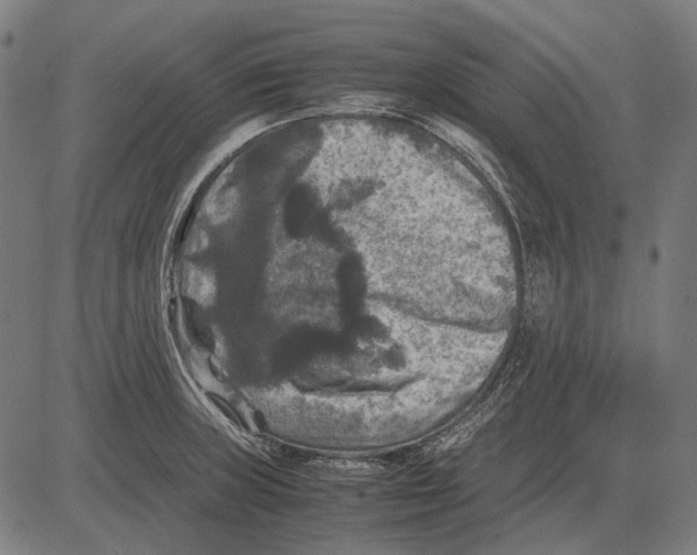 X0000081471235200702021824