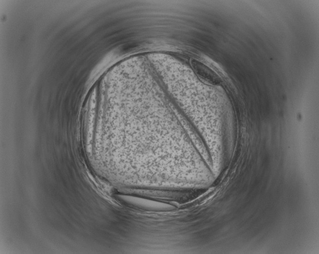 X0000081471236200702021824