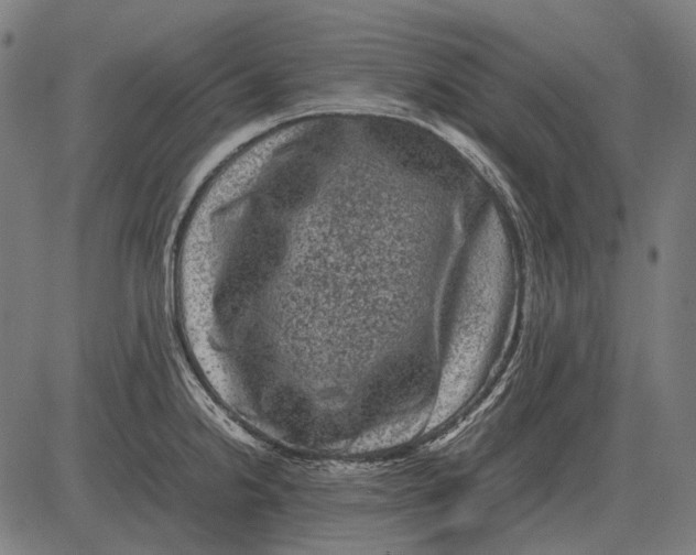 X0000081471238200702021824