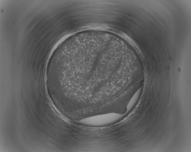 X0000081471240200702021824