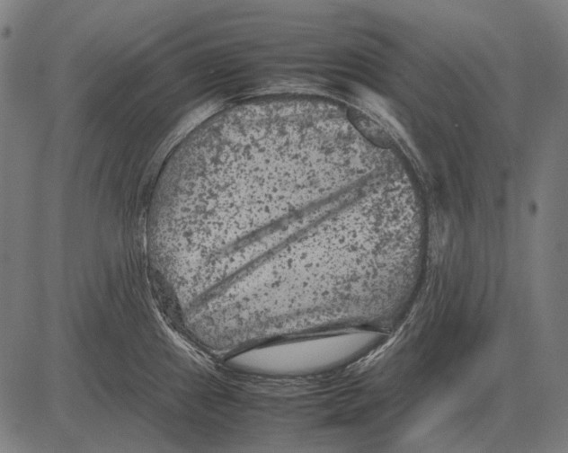 X0000081471241200702021824