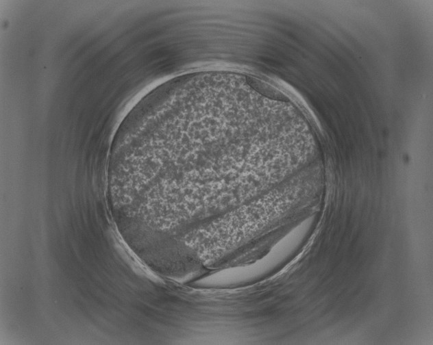 X0000081471244200702021824