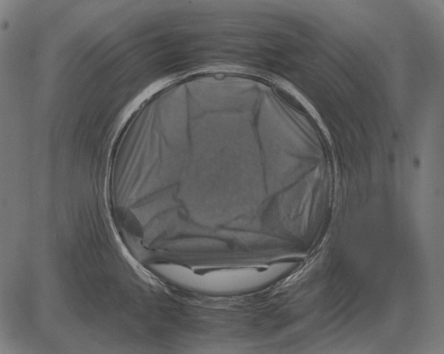 X0000081471245200702021824