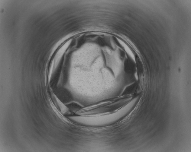 X0000081471246200702021824