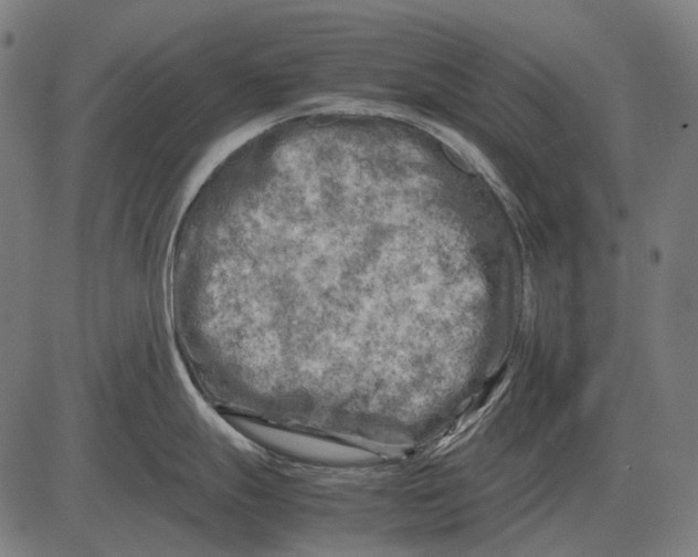 X0000081471247200702021824