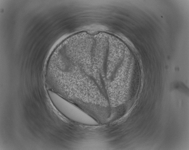 X0000081471248200702021824