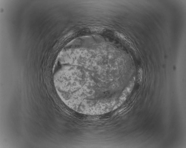 X0000081471249200702021824