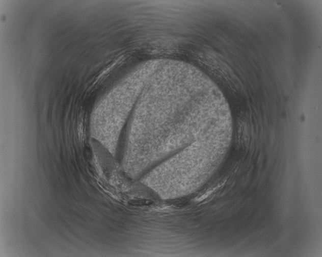 X0000081471250200702021824