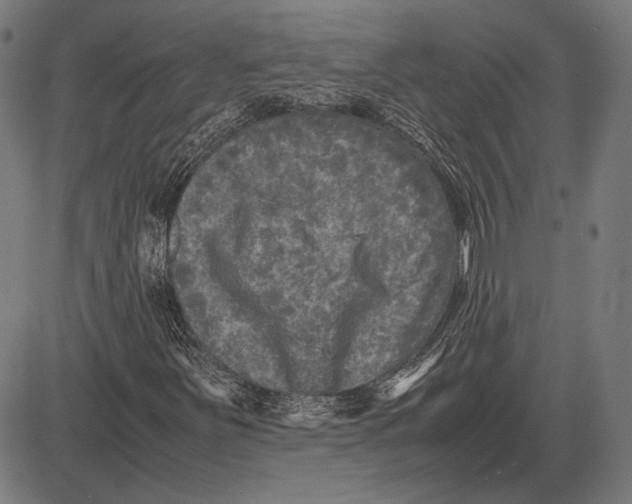 X0000081471251200702021824