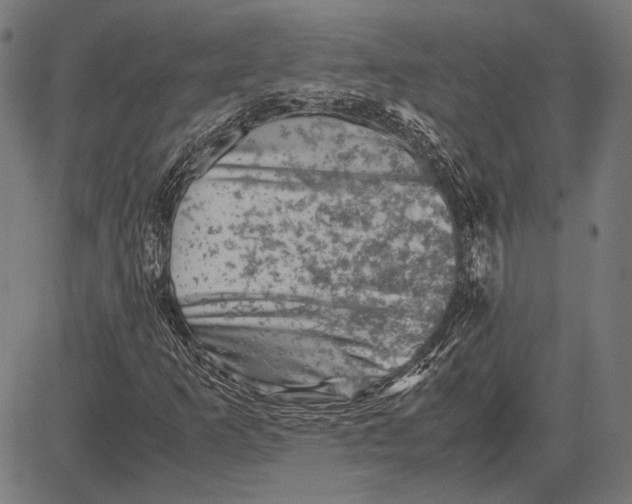 X0000081471253200702021824