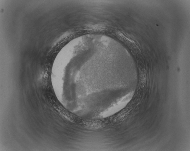 X0000081471254200702021823