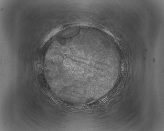 X0000081471255200702021823