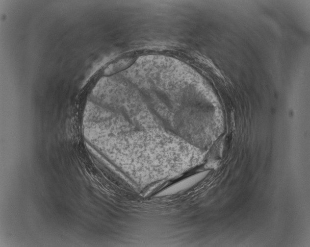 X0000081471256200702021823