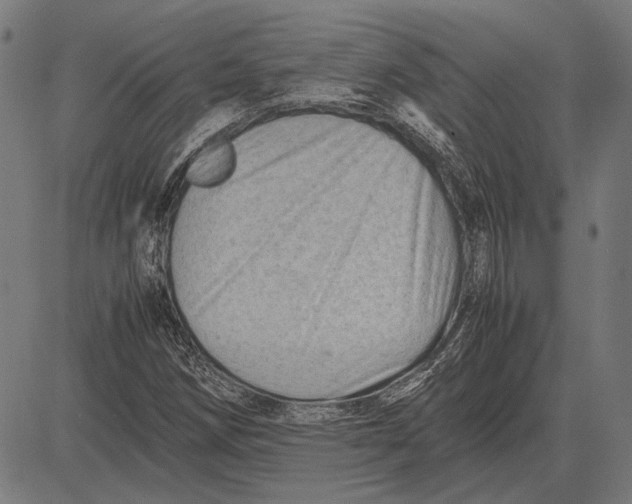 X0000081471258200702021823