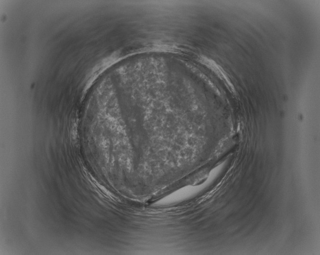 X0000081471260200702021823