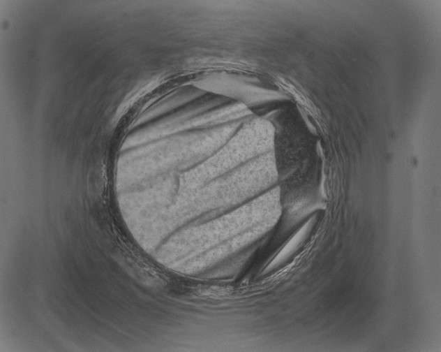 X0000081471261200702021823