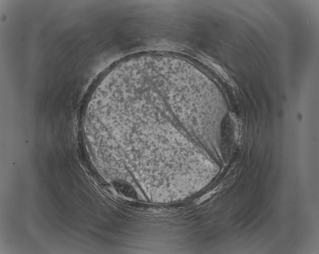 X0000081471264200702021823