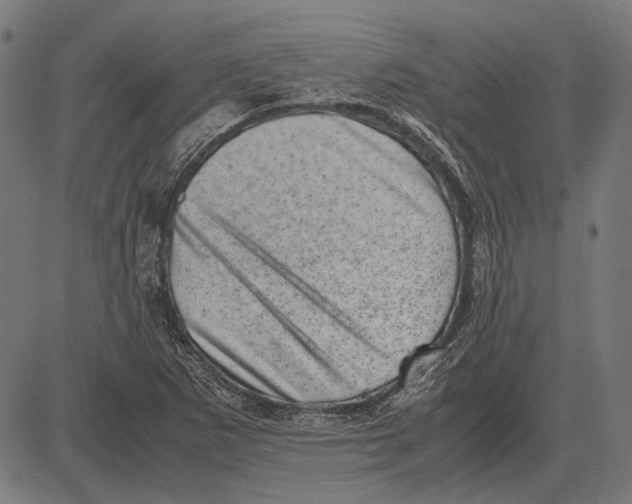 X0000081471265200702021823