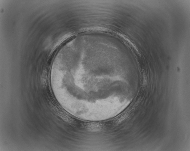 X0000081471266200702021823