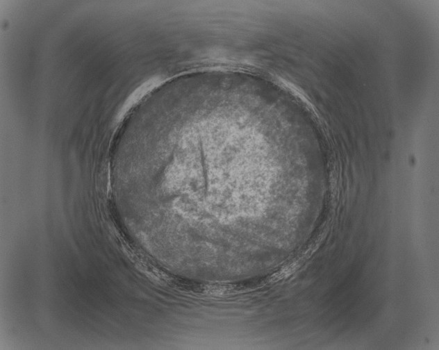 X0000081471267200702021823