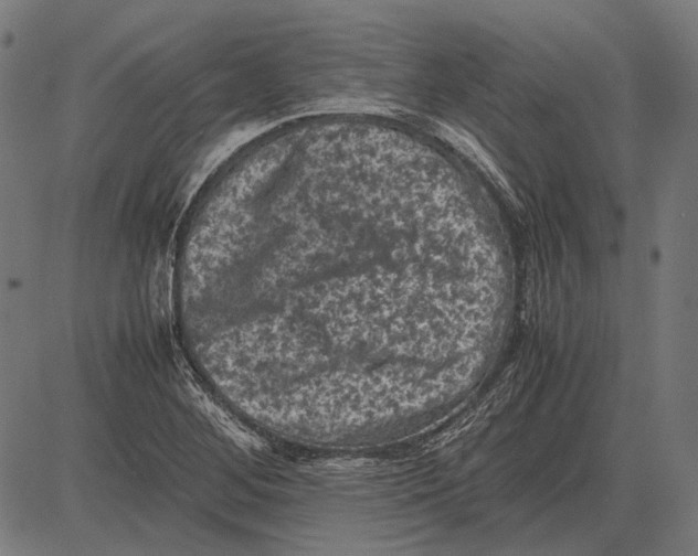 X0000081471268200702021823