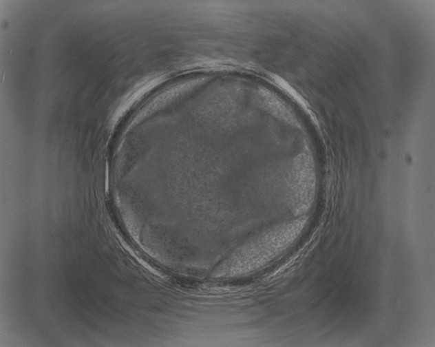 X0000081471269200702021823