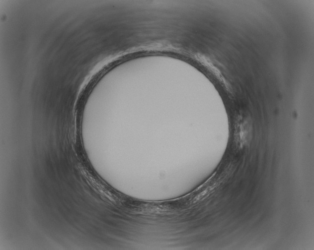 X0000081471270200702021823