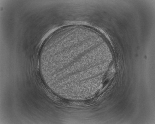 X0000081471271200702021823