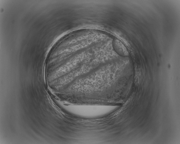 X0000081471272200702021823