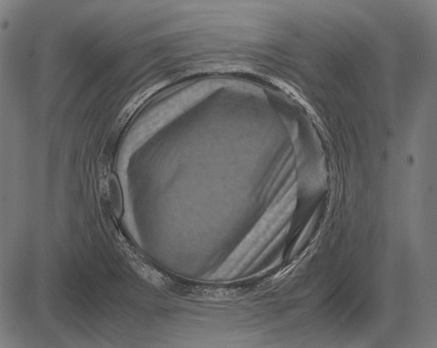 X0000081471273200702021823