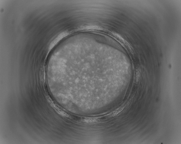 X0000081471274200702021823