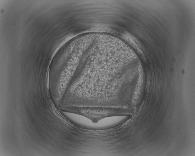 X0000081471276200702021823