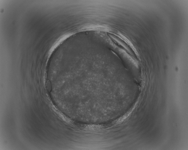 X0000081471277200702021823