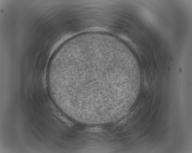 X0000081471278200702021823