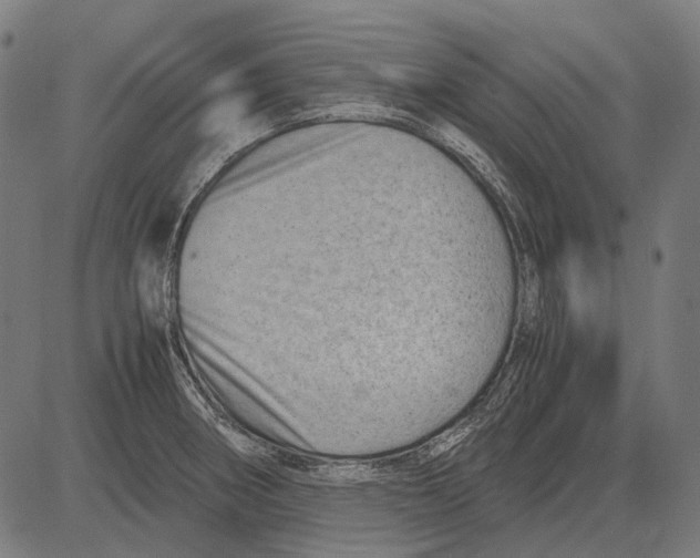 X0000081471282200702021823