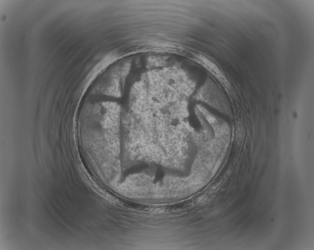 X0000081471283200702021823