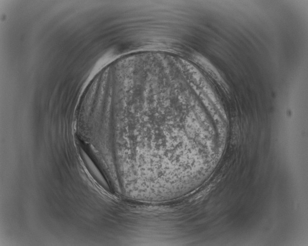 X0000081471284200702021823