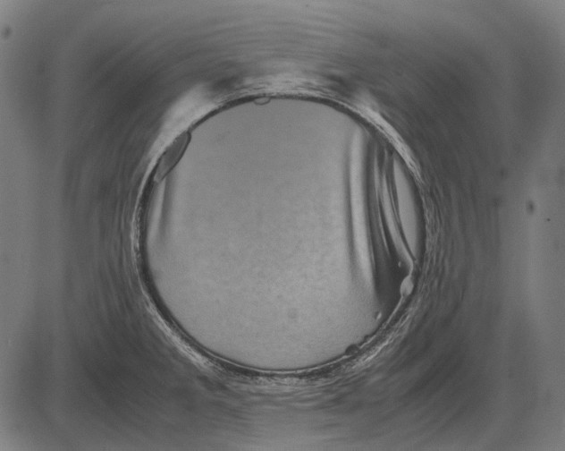 X0000081471285200702021823