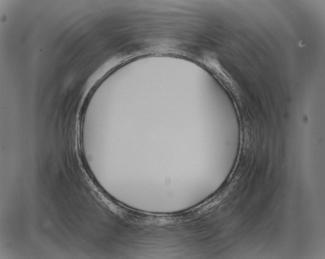 X0000081471286200702021823