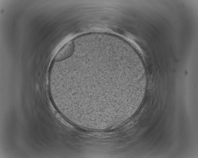 X0000081471287200702021823