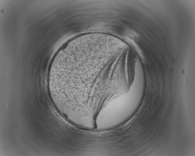 X0000081471288200702021823