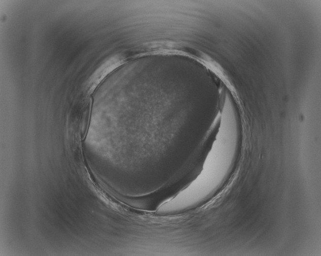 X0000081471289200702021823