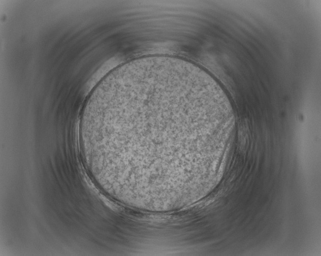 X0000081471290200702021823