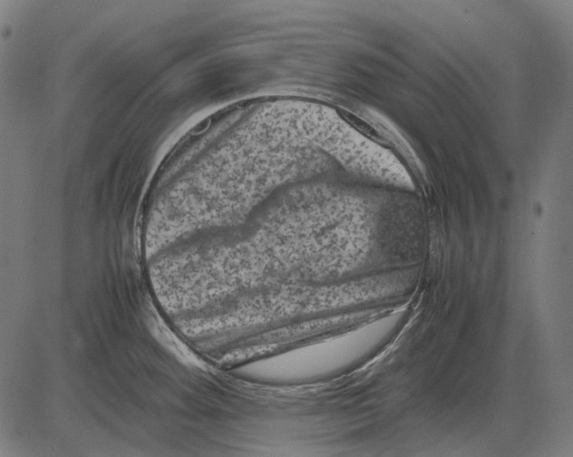 X0000081471292200702021823