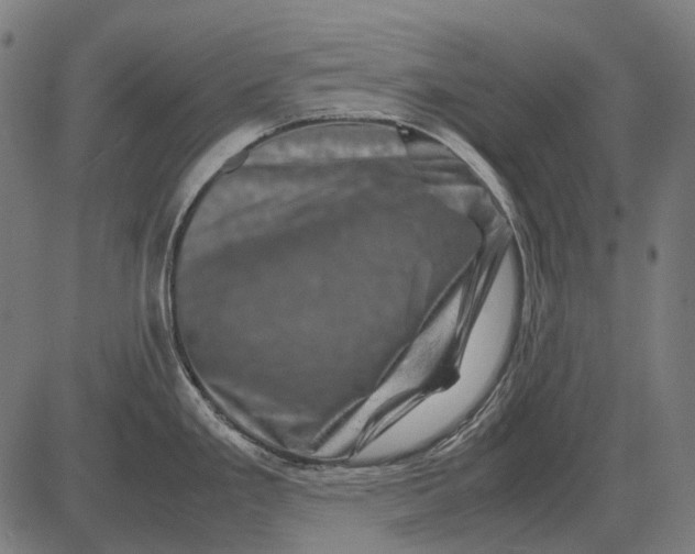 X0000081471293200702021823