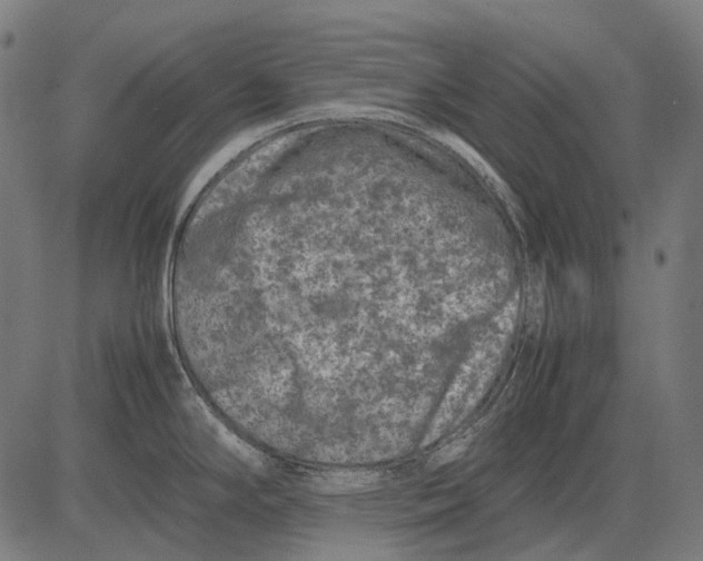 X0000081471294200702021823