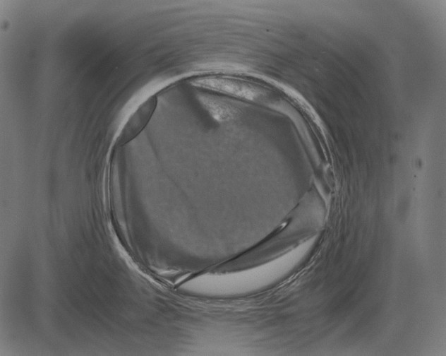 X0000081471295200702021823