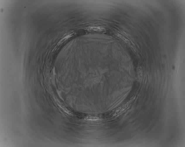 X0000081471297200702021822